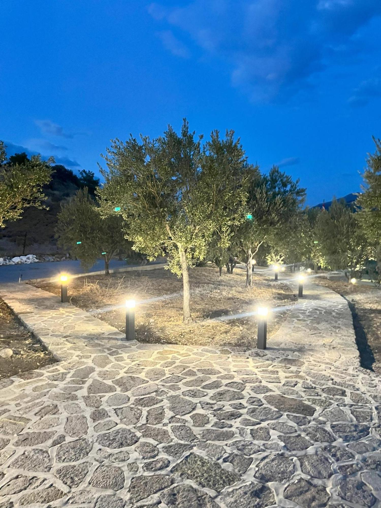 Hotel Defkalion Petra  Luaran gambar